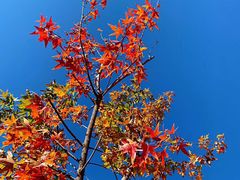 -香山公园-东宫门售票处