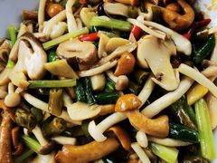 干烧杂菌-老幺泉水鸡