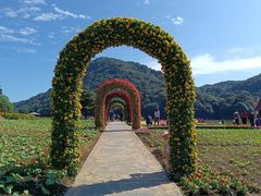 -广州市石门国家森林公园