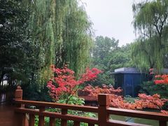 -西苑公园