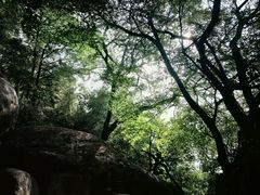 -云洞岩风景区