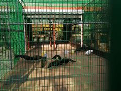 -羊亭河湿地公园