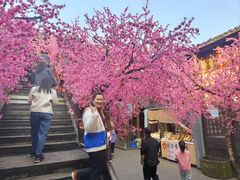 -桃源山庄·水蜜桃采摘·柴火鸡·烧烤团建(龙泉山店)