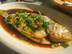 清蒸黄花鱼-福建闽珍饭店·宁德大黄鱼(解放南路店)