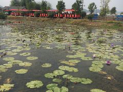 -米果果小镇