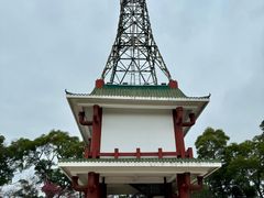 -金鸡山公园