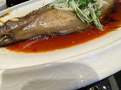 -渔人码头(中南店)