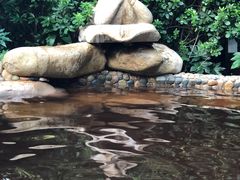 -天目湖涵田半山温泉