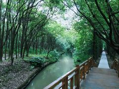 -同里国家湿地公园