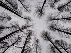 -南京金牛湖风景区