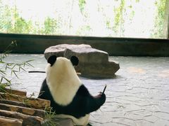 -上海野生动物园