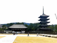 -奈良公园