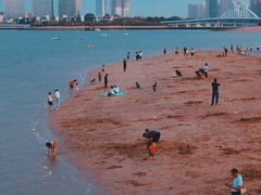 -五缘湾湿地公园