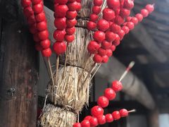 -寻龙山风景旅游区