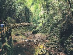 -凤栖山