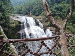 -海南热带雨林国家公园吊罗山景区