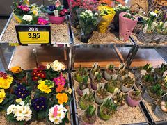-Coop Supermarkt Grindelwald