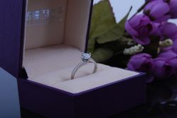 DSC_2131-威德钻石-克拉钻大本营(南京东路店)