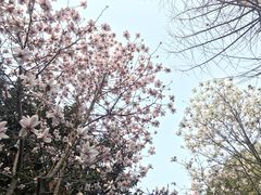 -复旦大学附属华山医院(总院)