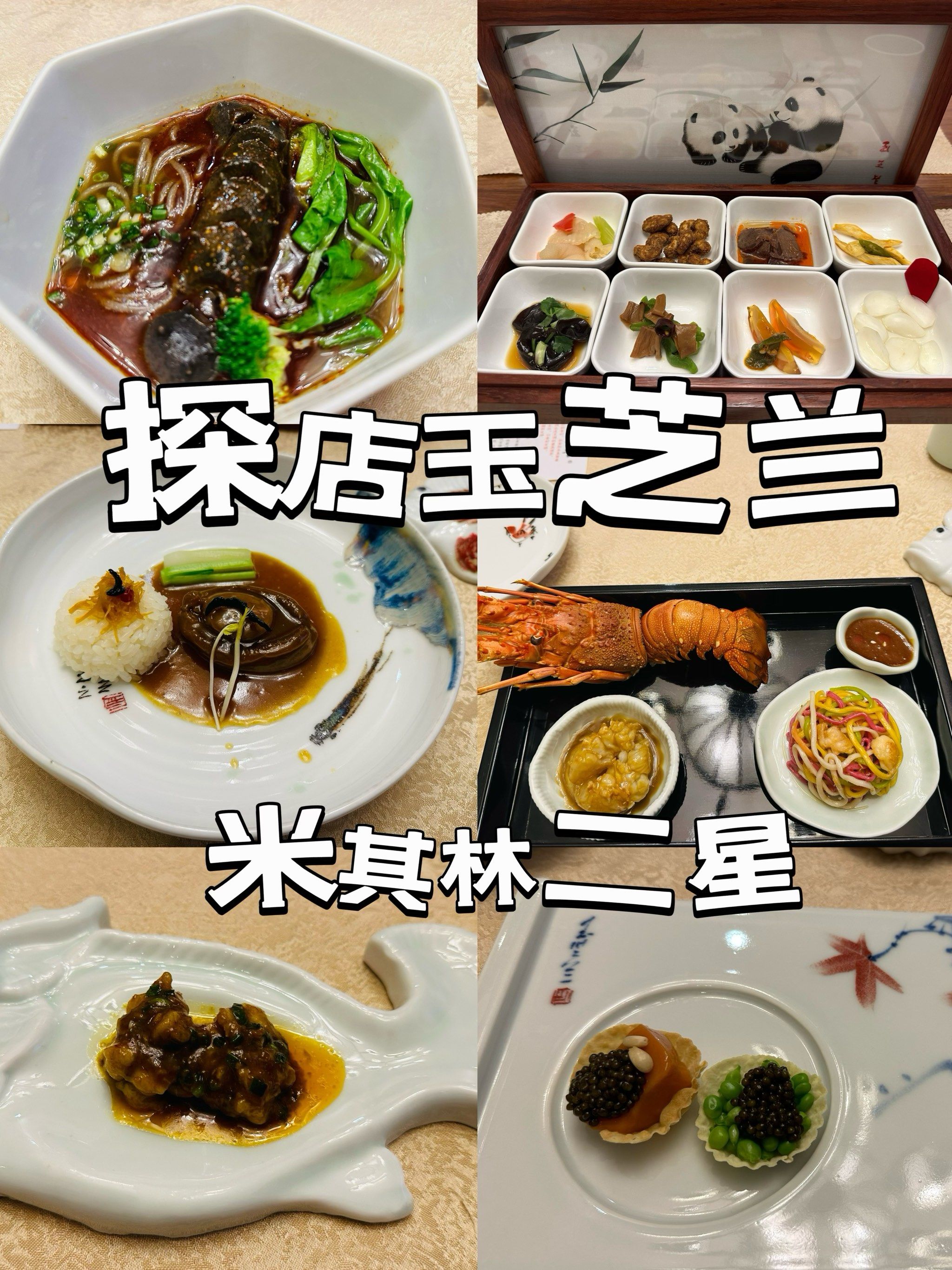 玉芝兰 | 小小米其林二星  拿下!