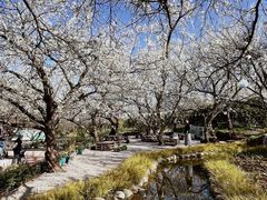 -名花谷生态庄园