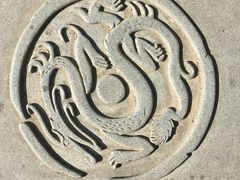 -合肥滨湖国家森林公园