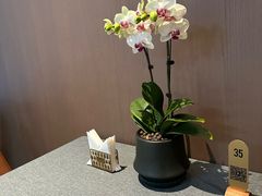 -海泰食府(北京总店)