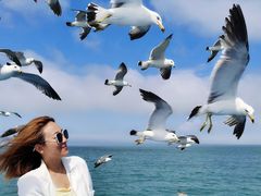 -海驴岛(荣成市)