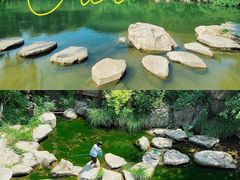 -九如山休闲旅游度假区