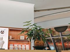 -长风拨筋养身(金虹桥店)