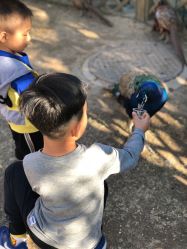 -萌宠亲子动物乐园(槐房万达店)