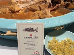 -阿五黄河大鲤鱼(英协路店)