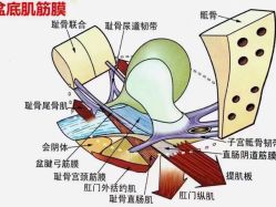 点击看大图 -昕孕瑜伽·孕妇瑜伽·产后修复