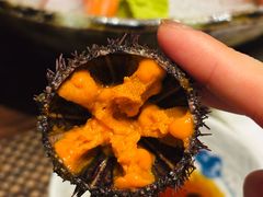 活海胆刺身-田舍家Inakaya(天汇igc店)