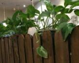 -老绥元烧麦·家常菜(摩尔城店)