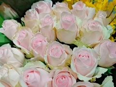 -小稻田辣椒炒肉(大浪商业中心店)