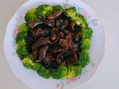 -爱月宝月嫂·育儿嫂(哈尔滨总店)