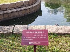-南越王博物院(王宫展区)