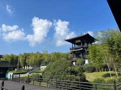 -大唐贡茶院