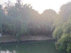 -桐乡植物园