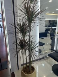 -HaLo hair studio