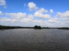 -盐城丹顶鹤湿地生态旅游区