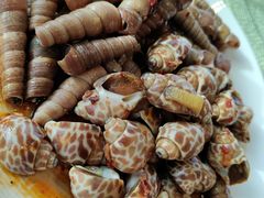 -视界美食自助餐厅·石家庄希尔顿酒店