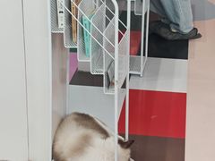 -天河领展广场