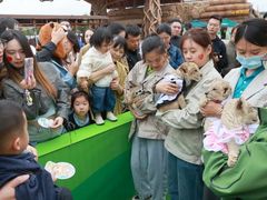 -南通濠河风景名胜区