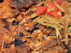 -老板恋上鱼(印象城店)