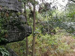 -梭布垭石林景区