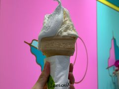 -柠檬车露(卖草地店)