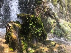 -贵阳市花溪国家城市湿地公园