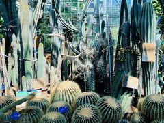 -国家植物园南园